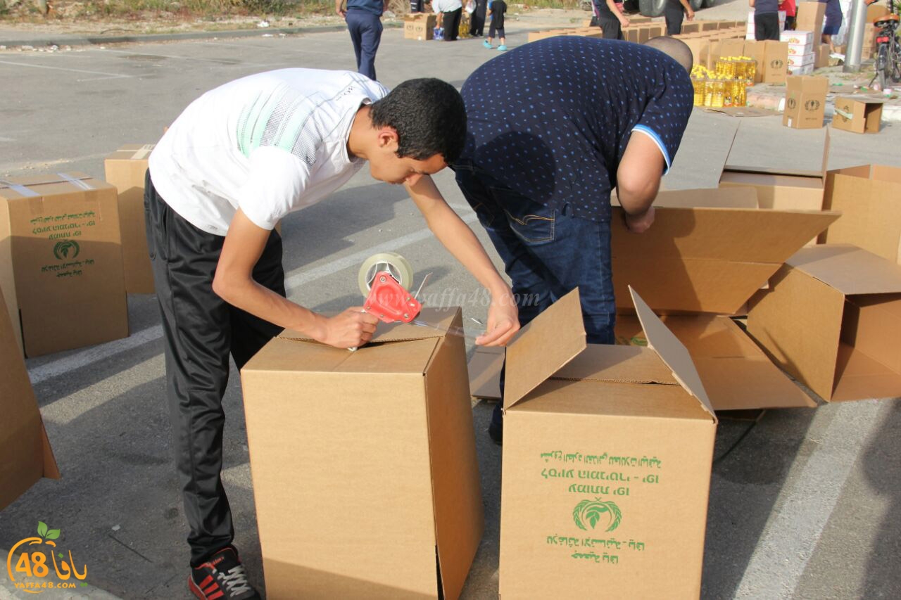 jami3ya torodya (19).jpg